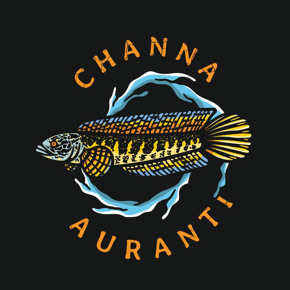 Channa aurantimaculata fish illustration with water surround vector