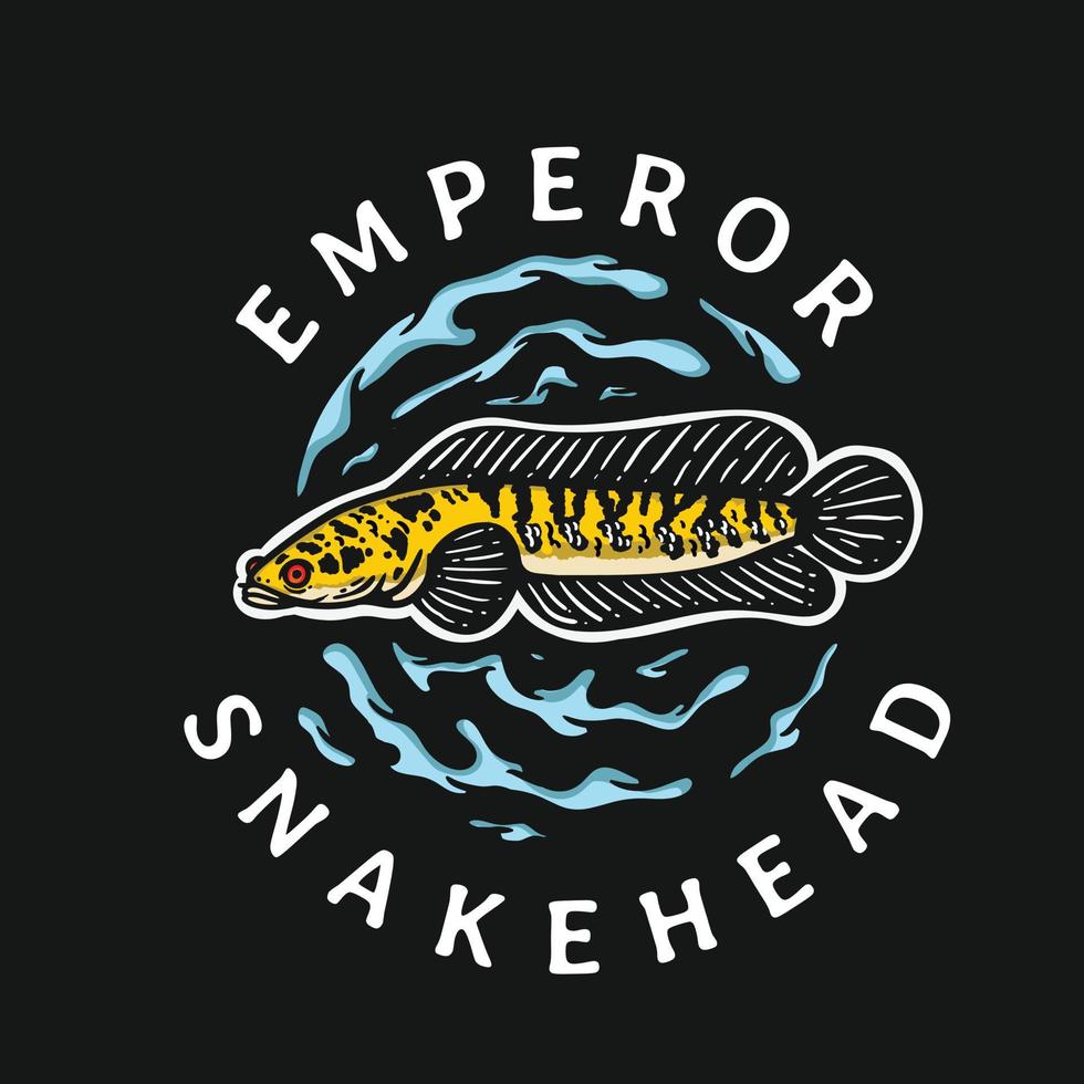 emperor snakehead fish illustration with water surround vector