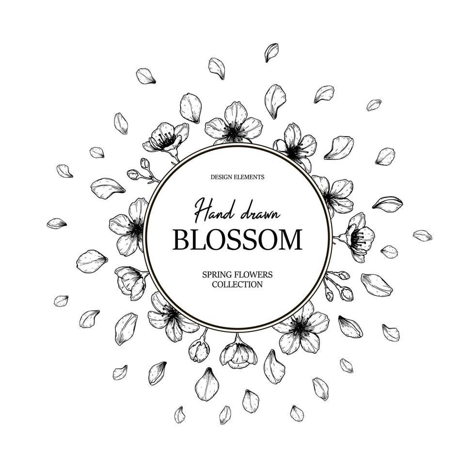 Floral circle frame with hand drawn spring cherry blossom in sketch style. Spring design for cards, banners, letters, invitations. Place for text vector