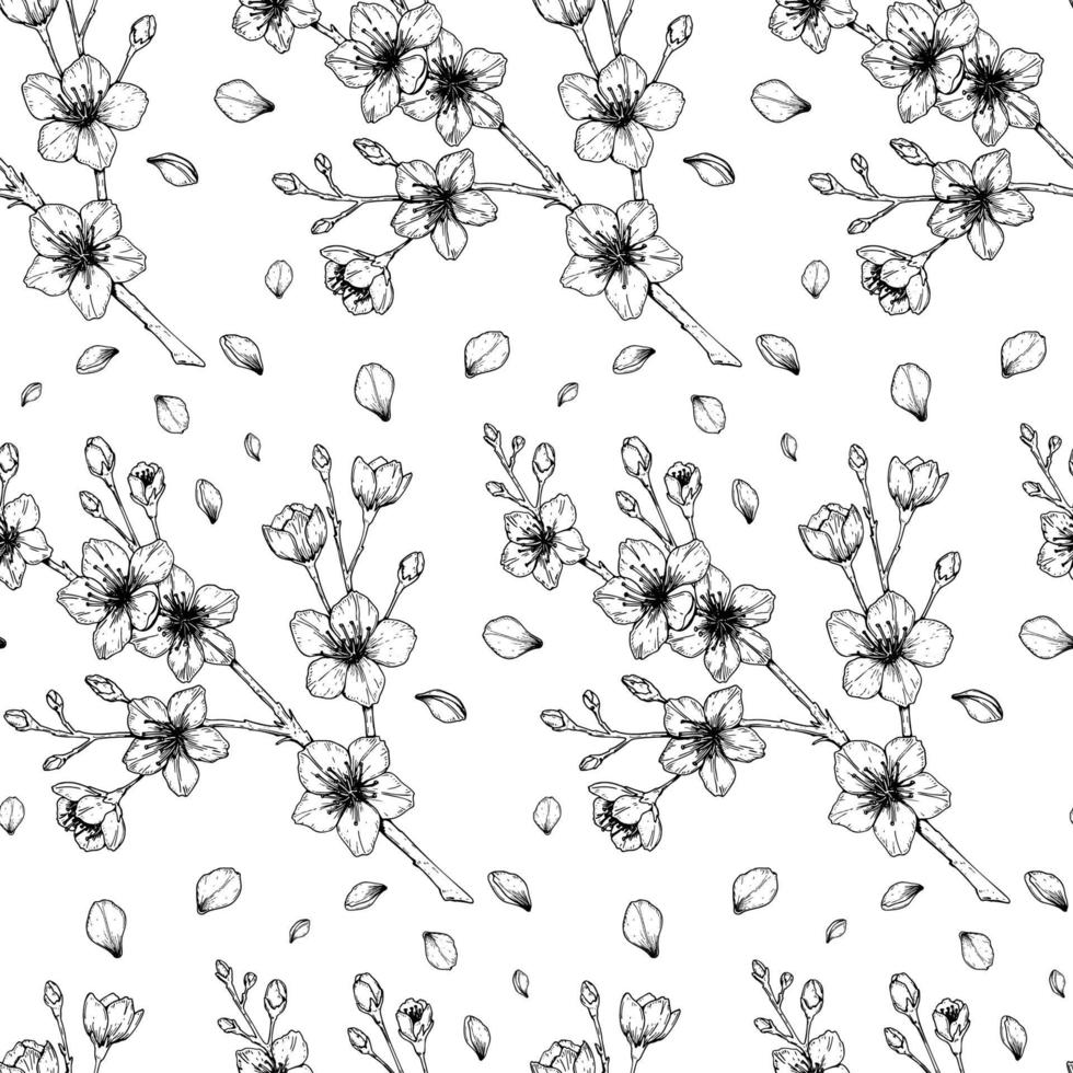 Floral pattern with hand drawn spring cherry flowers branches and petals. Vector illustration in sketch style isolated on white.