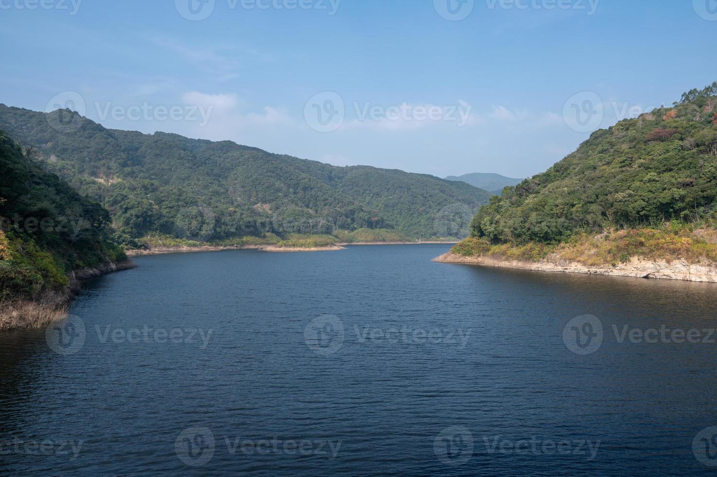 Forests and lakes under the blue sky photo