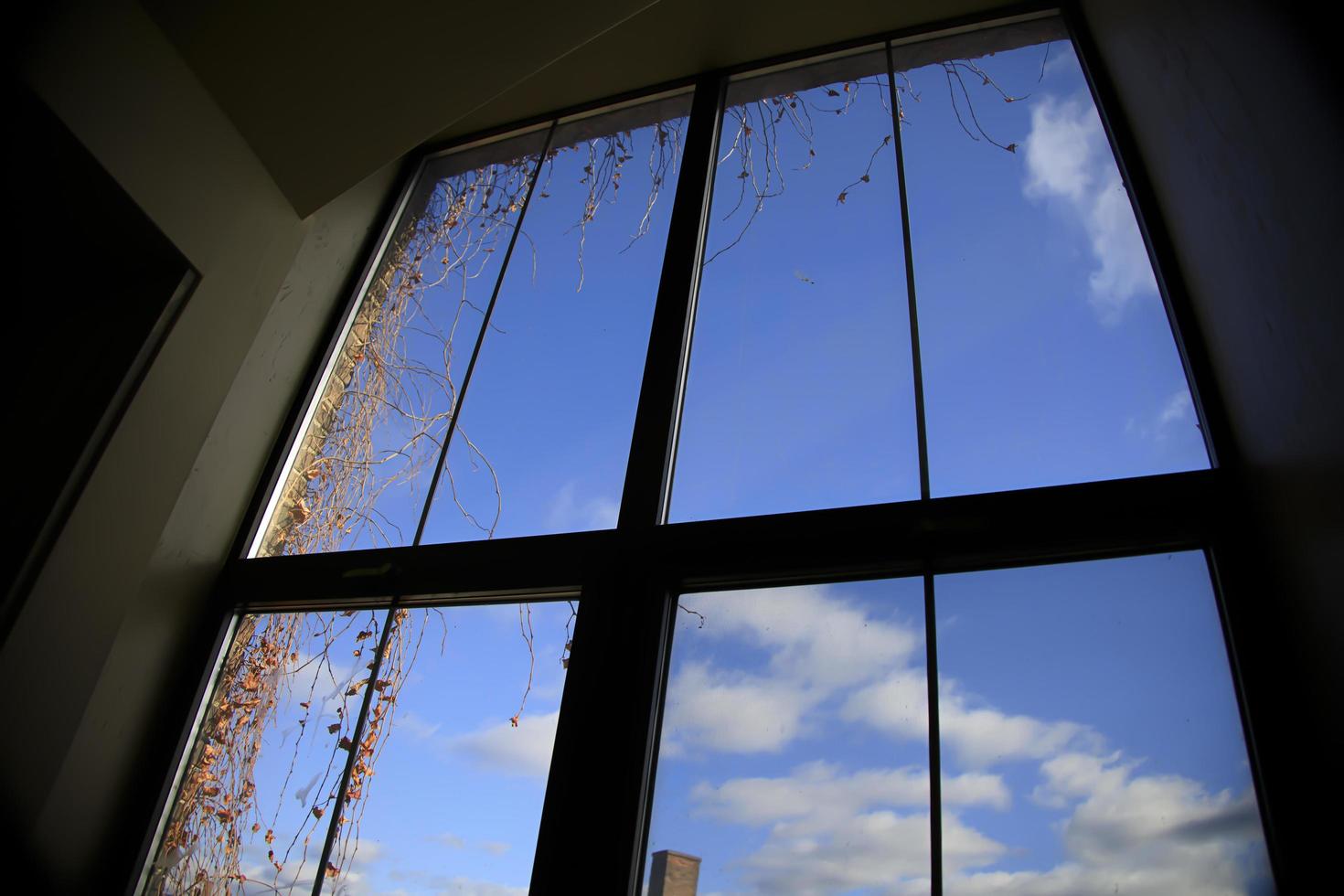 blue sky and clouds through a window of a building photo
