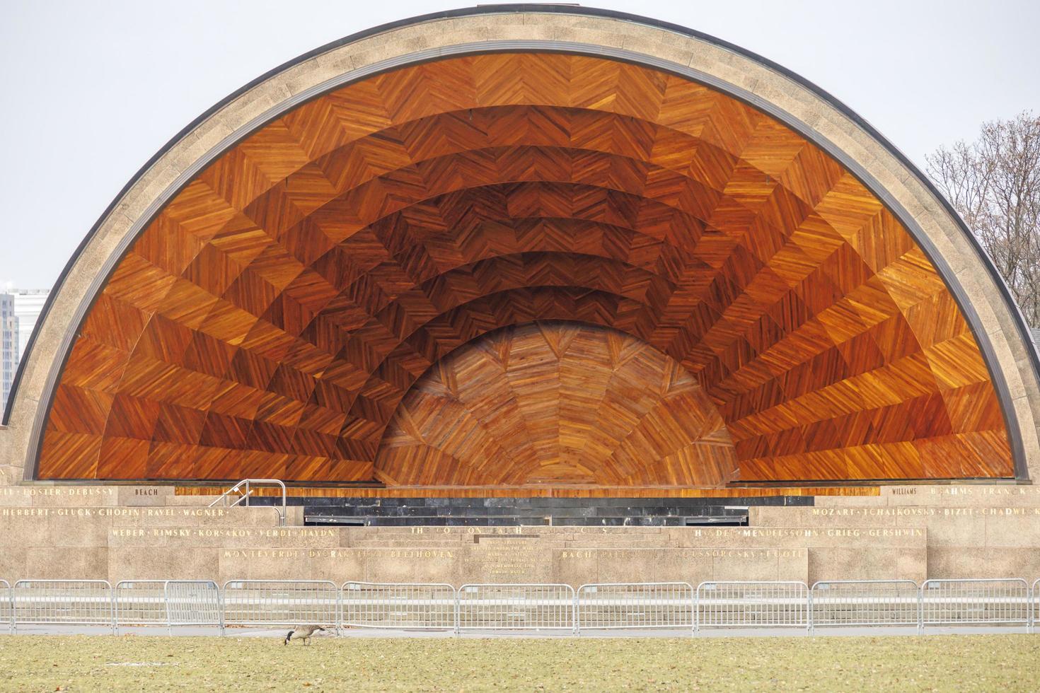 goose eating grass in front of a outdoor theater photo