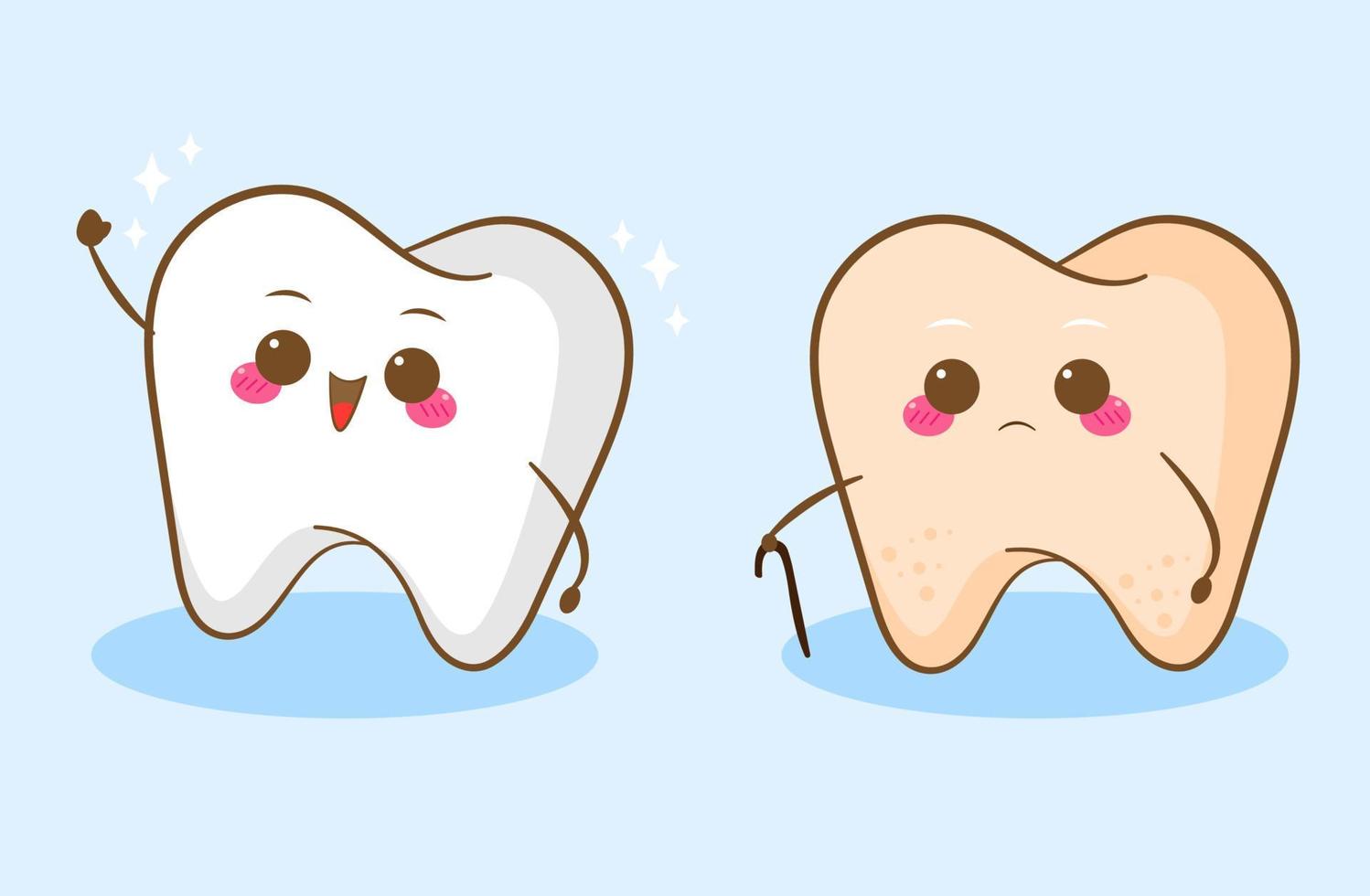 cute young and old tooth vector