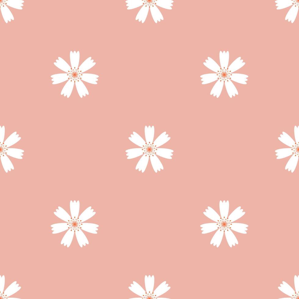 patrón sin costuras. flores de margarita, imagen blanca sobre fondo rosa. Úselo para fondos, papel de pared, piso de baldosas, telas, libros y cualquier otra cosa que desee. ilustración vectorial. vector