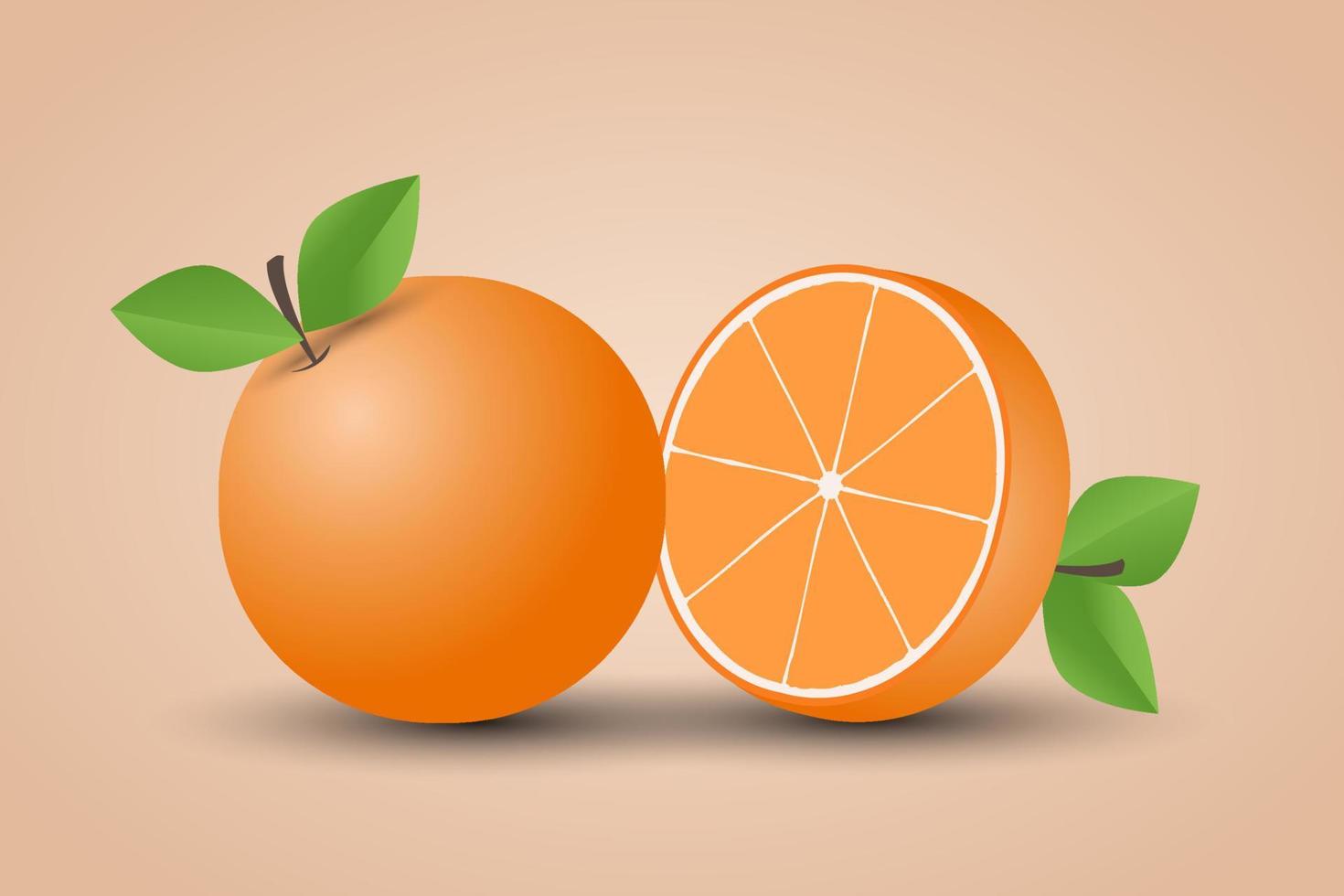 Hand drawn orange fruit illustration vector