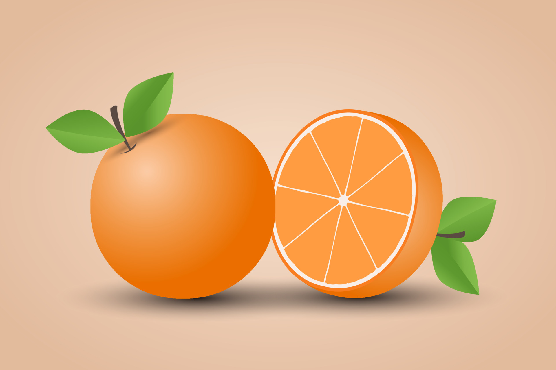 Hand drawn orange fruit illustration 4927611 Vector Art at Vecteezy