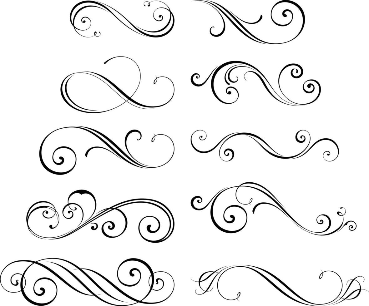 Curly royal calligraphic elements vector