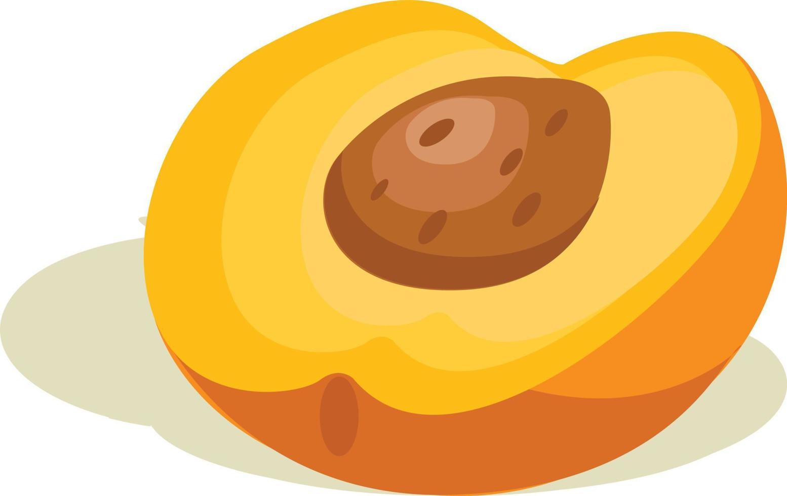 Nectarine sliced fruit illustration vector