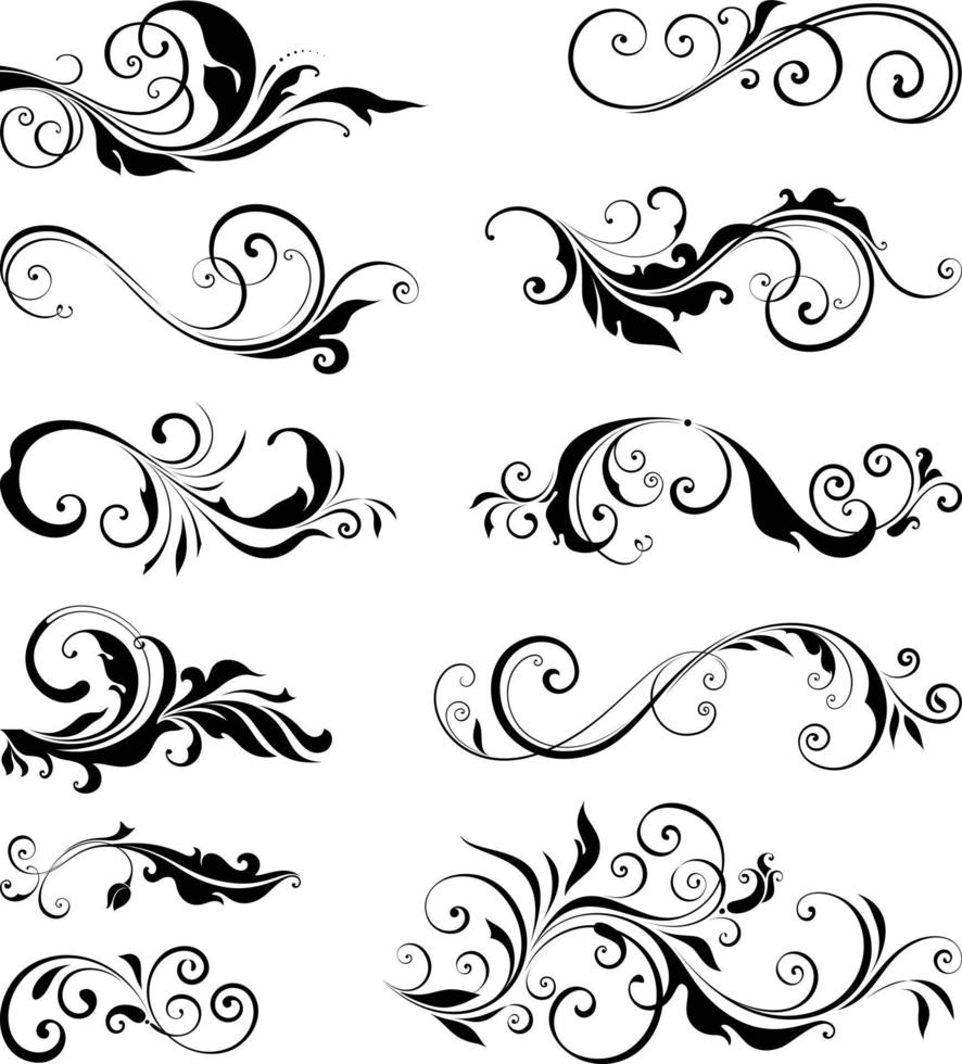 Floral royal calligraphic elements vector