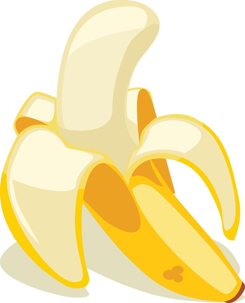 Banana fruit illustration vector