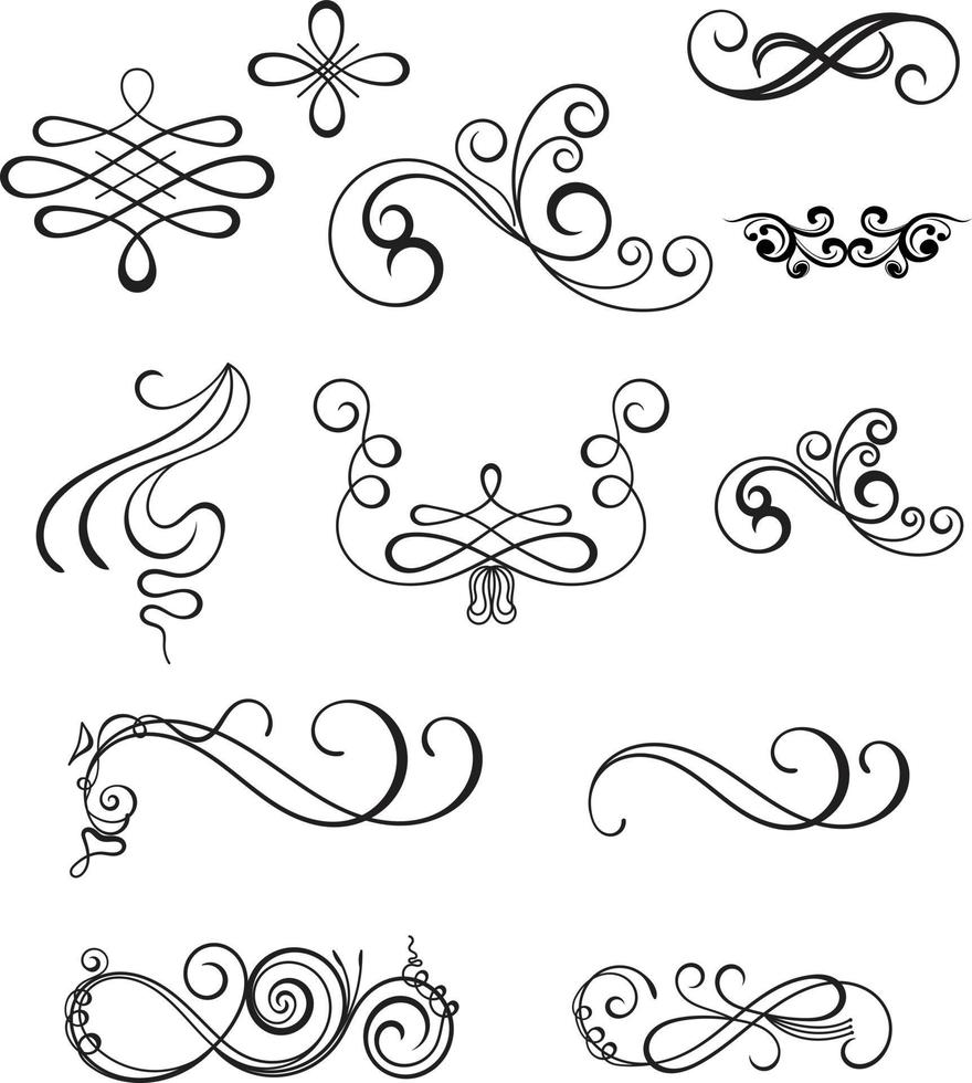 Flower royal calligraphic elements vector