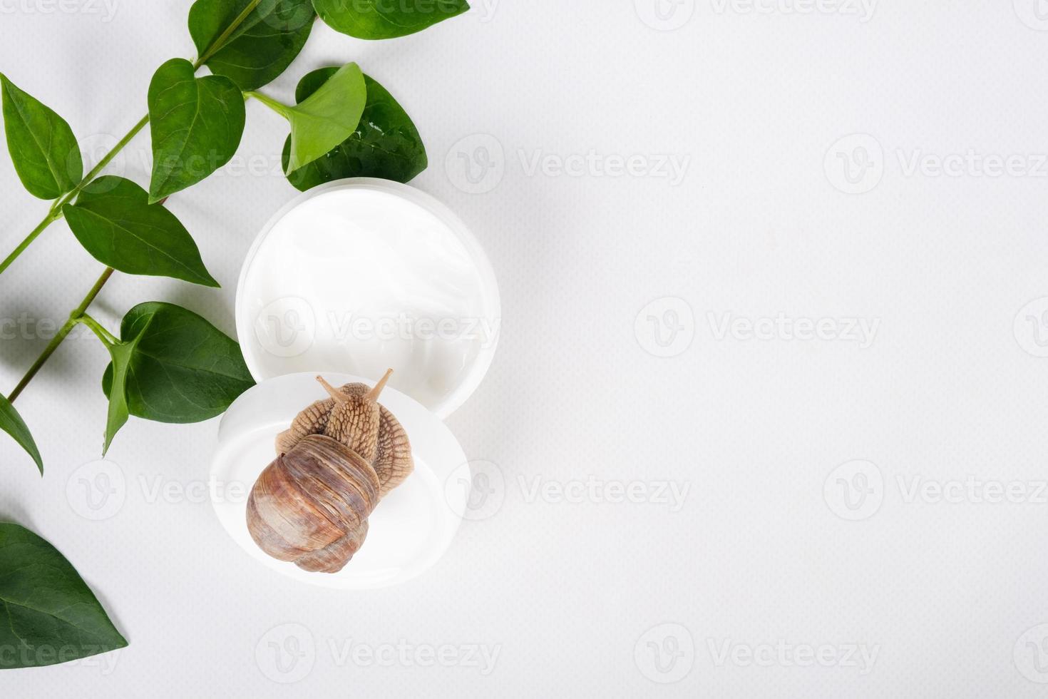 Crema de mucina de caracol sobre fondo blanco espacio de copia de cosméticos para el rejuvenecimiento y el cuidado del cuerpo foto