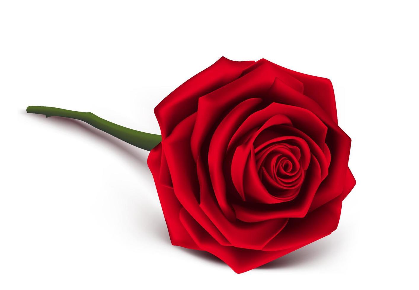 Sweet Valentines Day Background with Realistic Red Roses. Mesh Vector Illustration