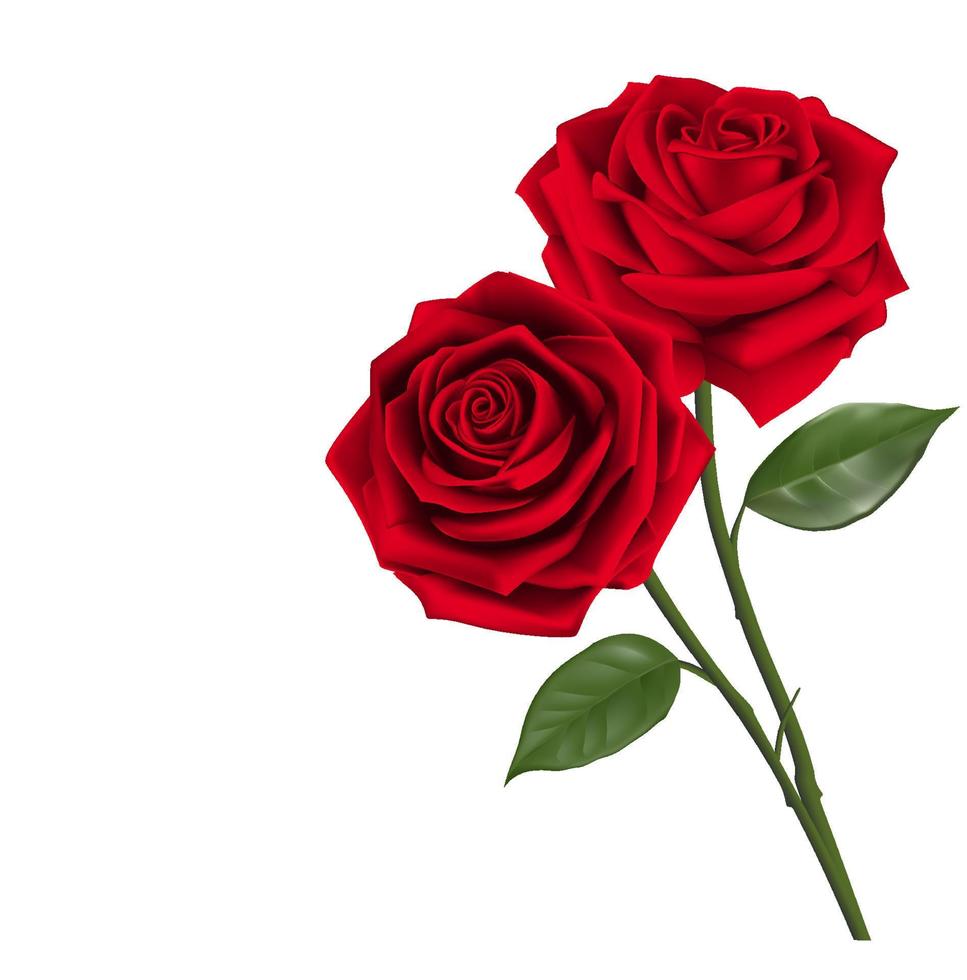 Sweet Valentines Day Background with Realistic Red Roses. Mesh Vector Illustration