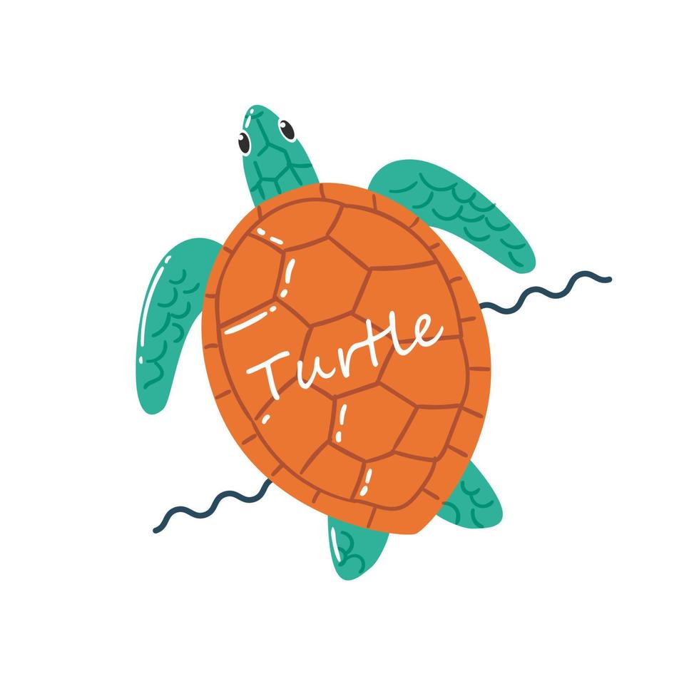 Turtle on the sea vector