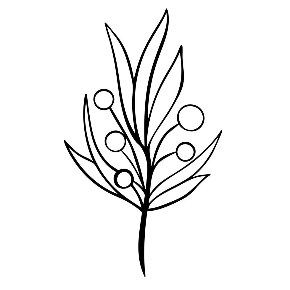 Deciduous twig with berries in doodle style vector isolated illustration