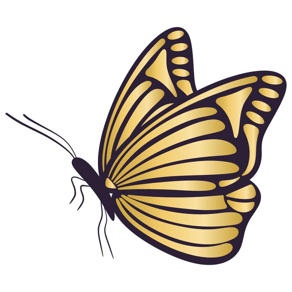 Golden beautiful butterfly in profile isolated vector illustration