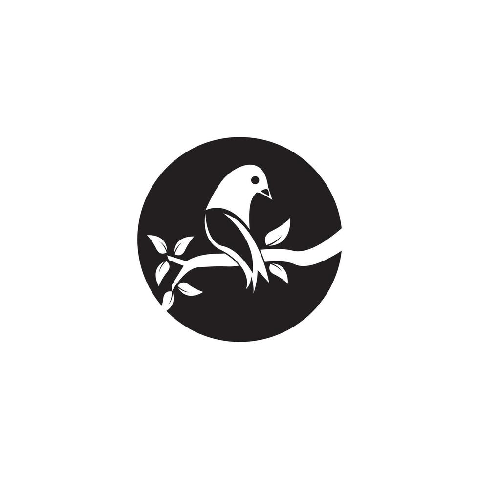 Bird icon and symbol vector illustration