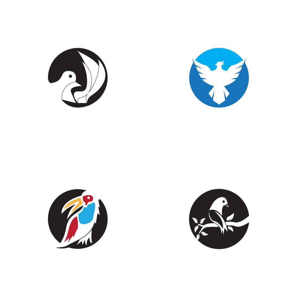 Bird icon and symbol vector illustration