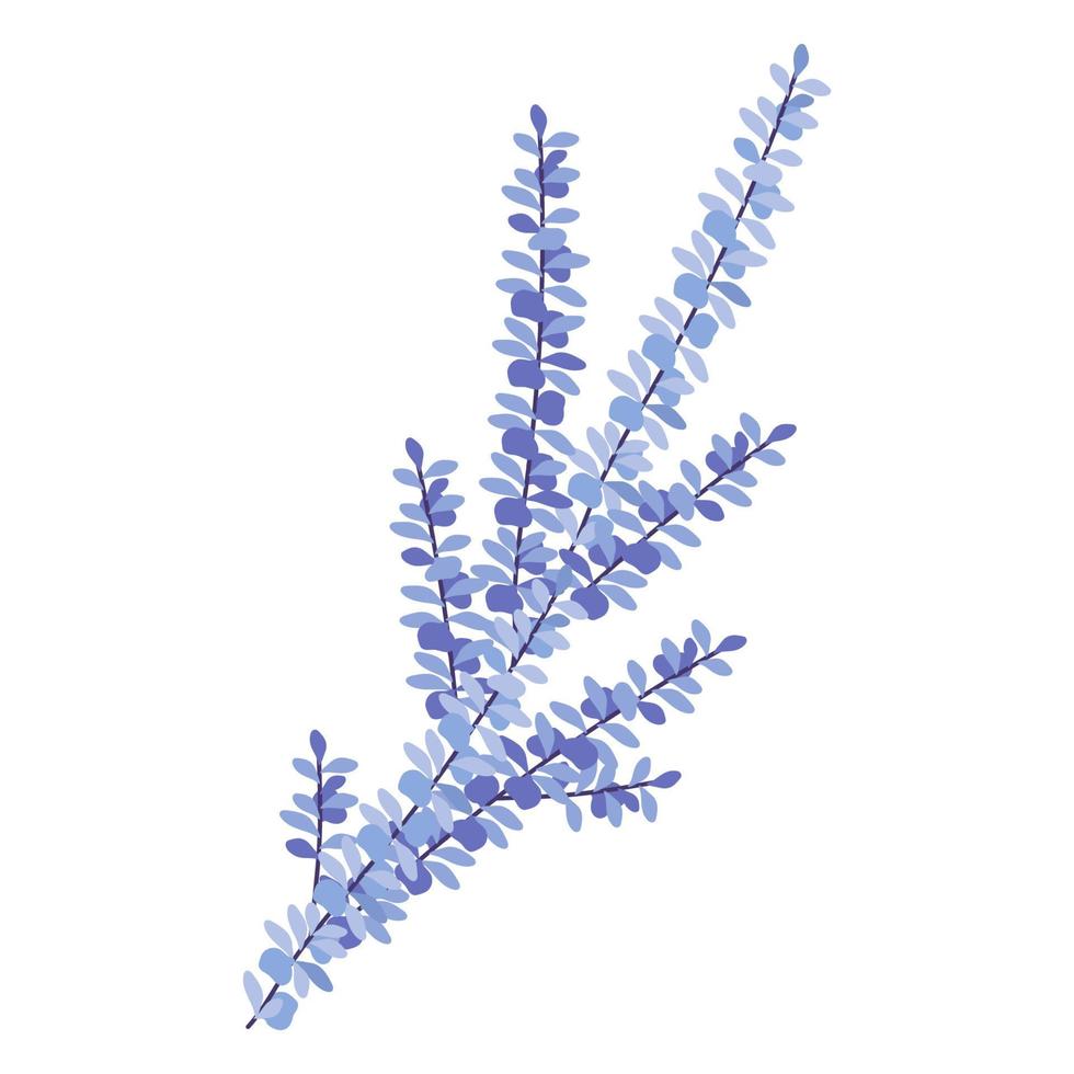 Purple lilac branch with leaves. Isolated vector illustration