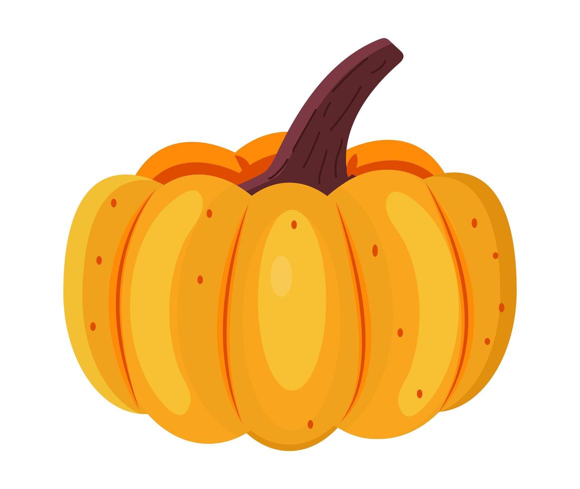 vector de calabaza aislado sobre fondo blanco. Se muestran iconos de alimentos frescos y saludables.