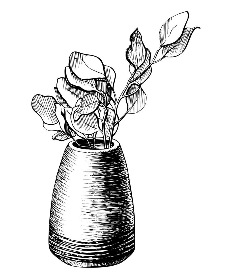 flor en un dibujo lineal de maceta. rama de árbol en una ilustración de dibujado a mano de vector de florero. bosquejo de la primavera de la naturaleza de una planta aislada en el fondo blanco