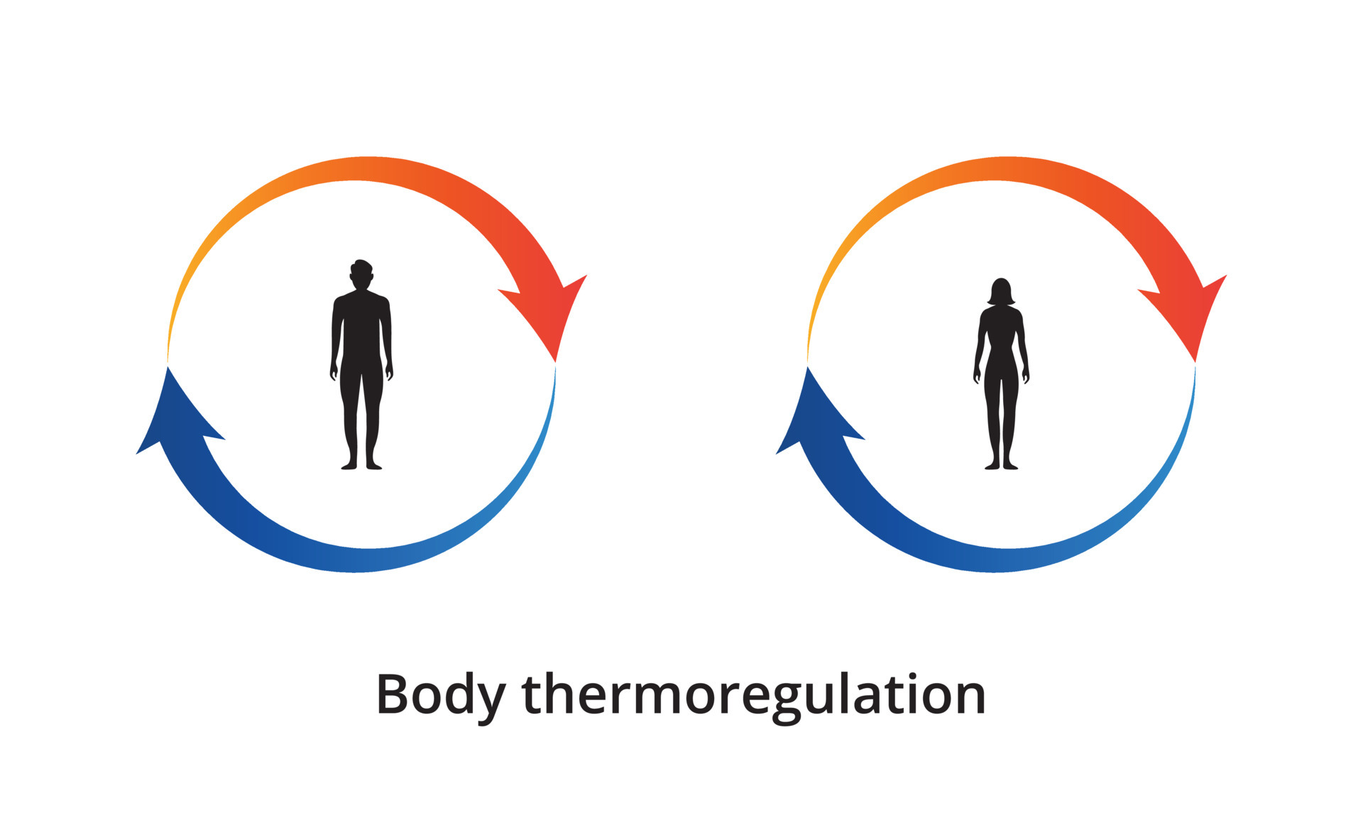 Body thermoregulation icon. Body heat retention. Human body silhouette