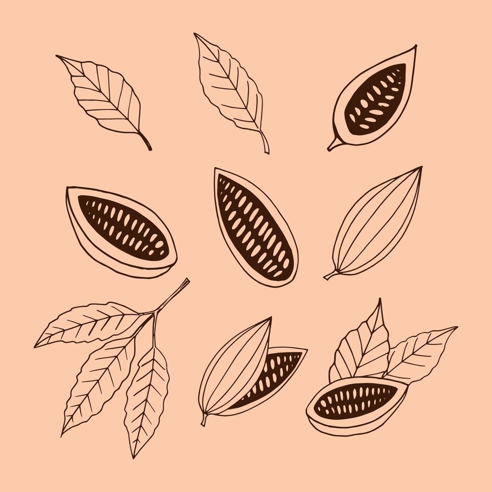 cocoa beans with leaves hand drawn set doodle. collection for design icon, poster, label, menu, card, sticker. food, plant. brown, craft paper background vintage vector