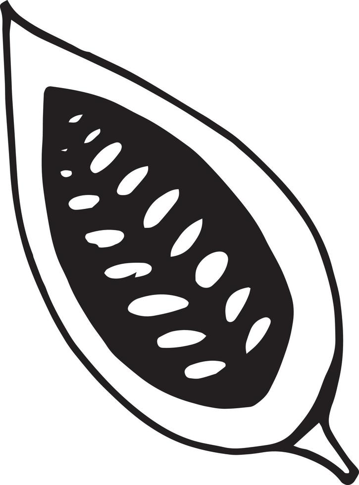 cocoa bean half hand drawn doodle. single element for design icon, label, menu, sticker. food plant vector