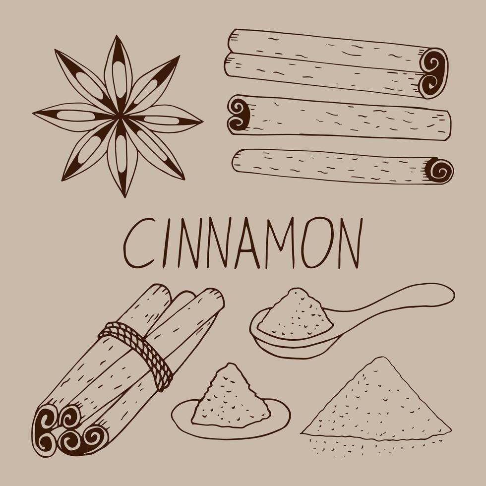 cinnamon set hand drawn doodle. sticks, powder, lettering, spoon collection of elements for design icon, label, menu, sticker. food, seasonings spices vector