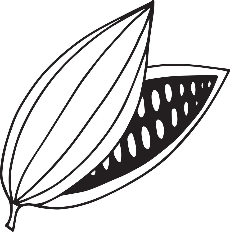 doodle dibujado a mano de granos de cacao. elemento único para icono de diseño, etiqueta, menú, pegatina. planta de alimentos vector