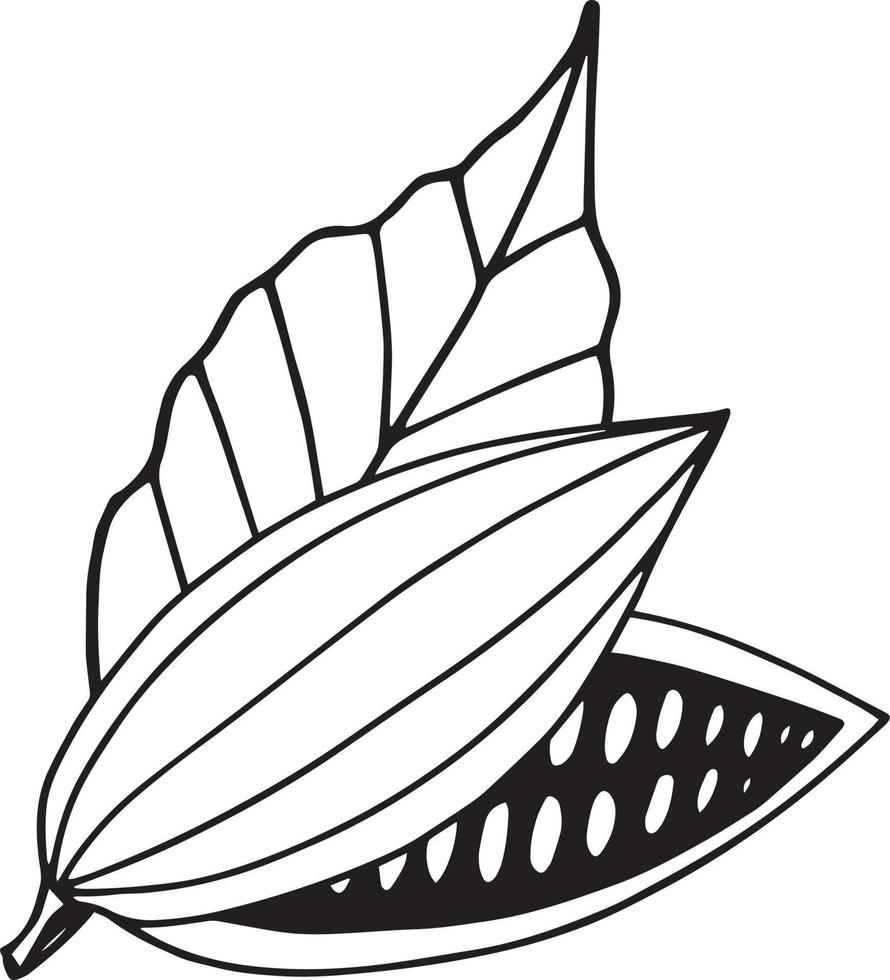 la mitad del grano de cacao con hojas dibujadas a mano doodle. composición del logotipo del icono del concepto para la etiqueta del diseño, menú, etiqueta engomada. planta alimenticia vector