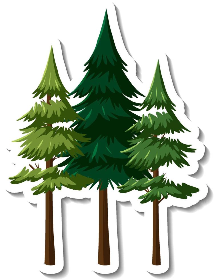 Three pine trees in cartoon style vector