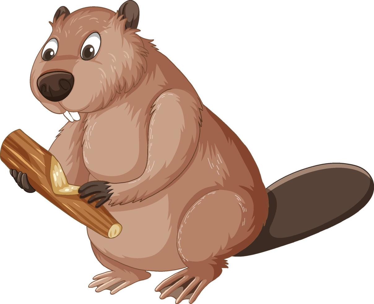 A beaver holding a wood stick vector