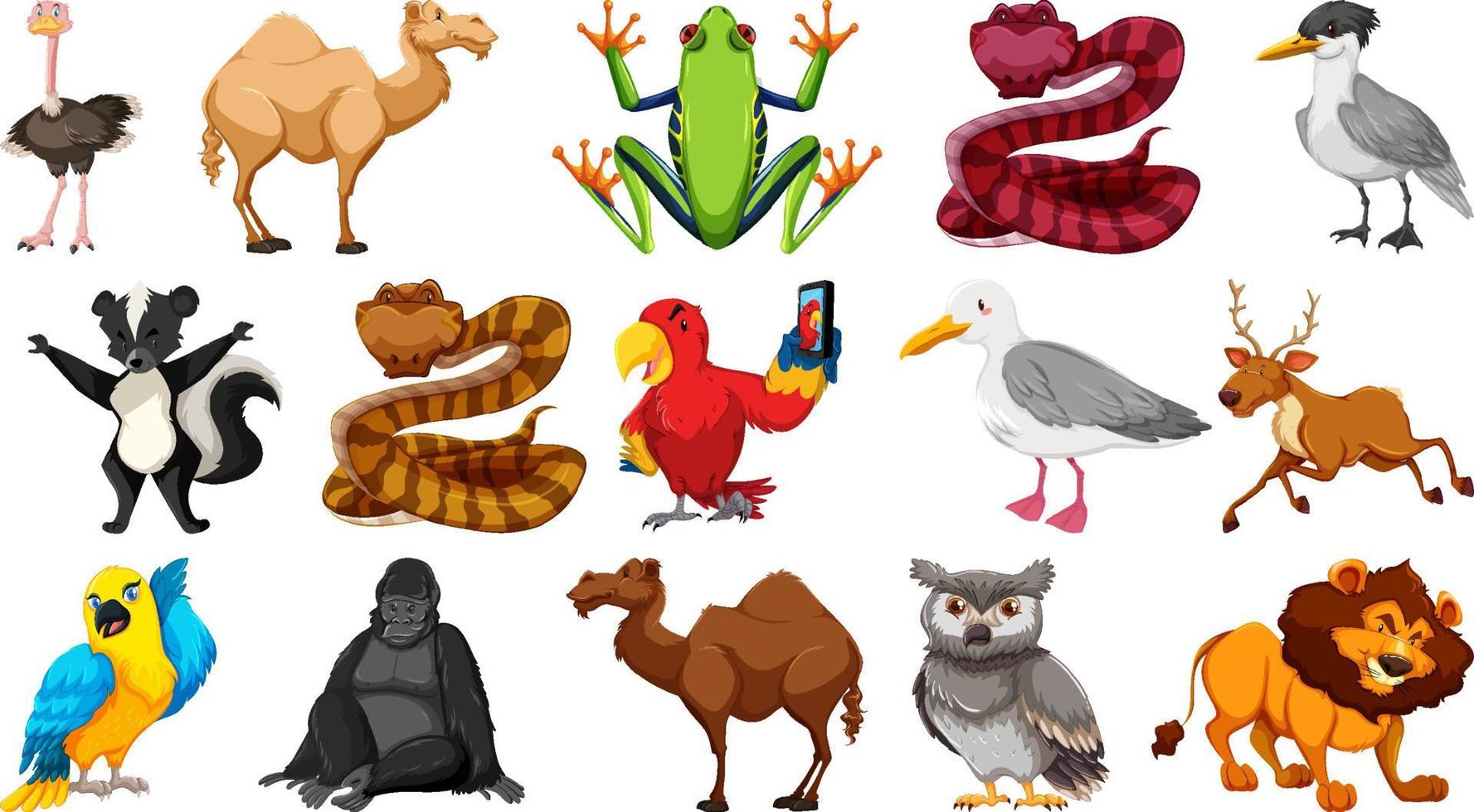 Set of different wild animals cartoon characters vector