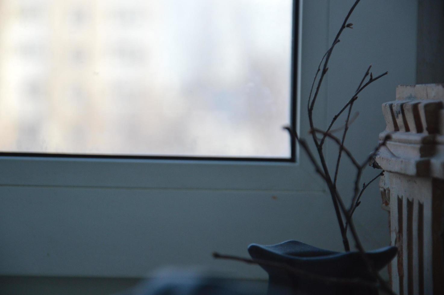 Branches of dry tree on the background of the window photo