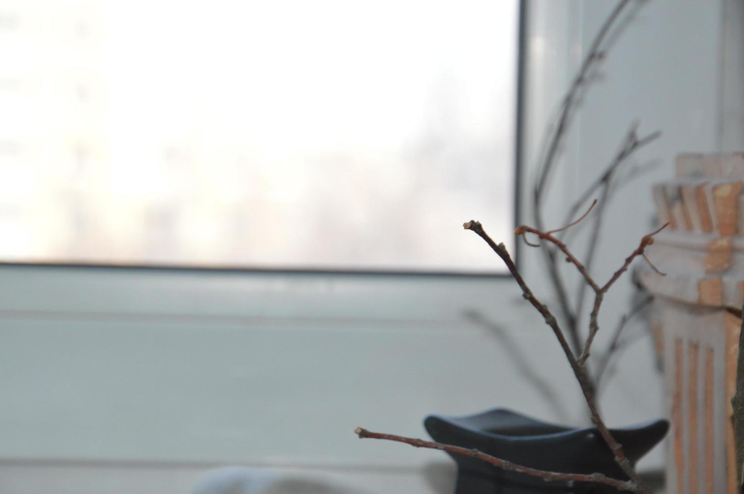 Branches of dry tree on the background of the window photo