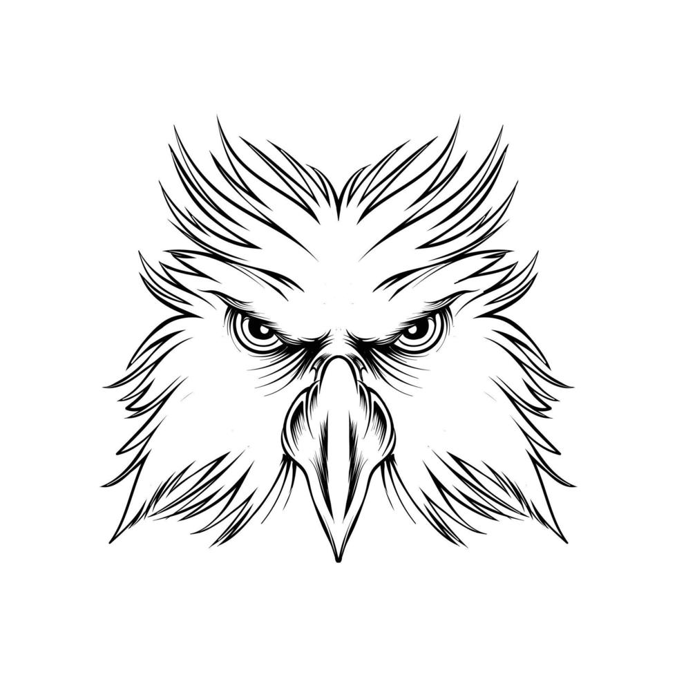 eagle head illustration sketch vector