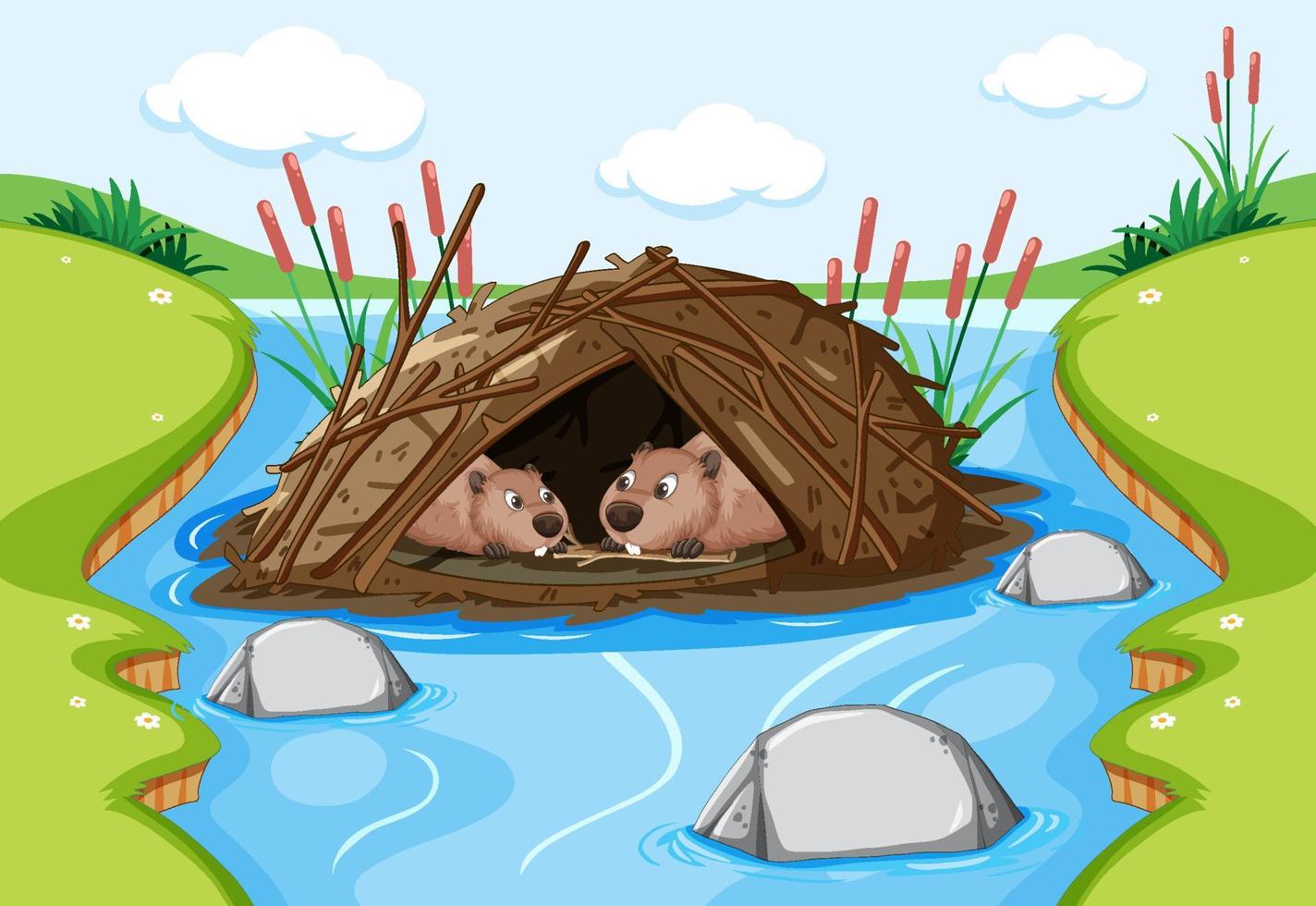 Forest scene with beavers live in dam vector