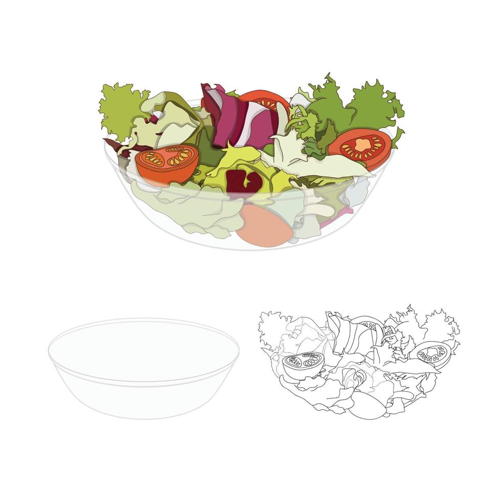 Salad Bowl Healthy Food vector