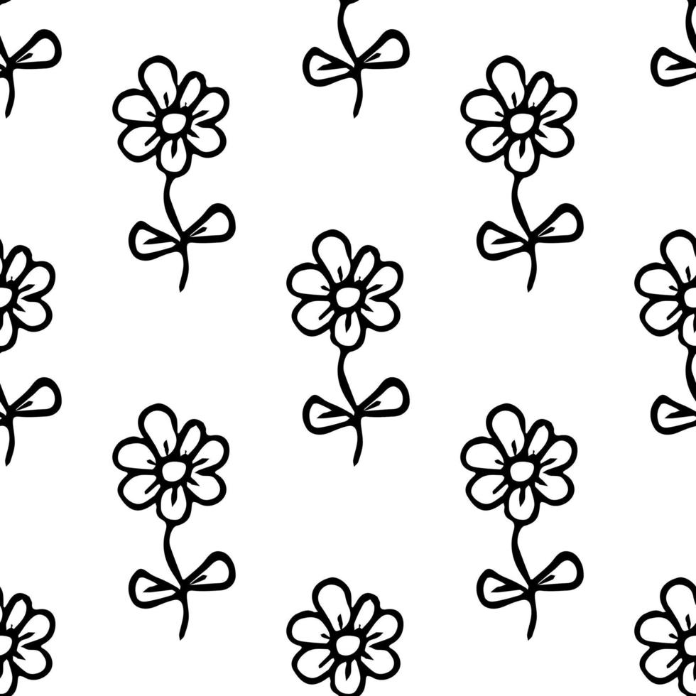 patrón sin fisuras con flores. fondo floral. Flores de manzanilla aisladas sobre fondo blanco. vector