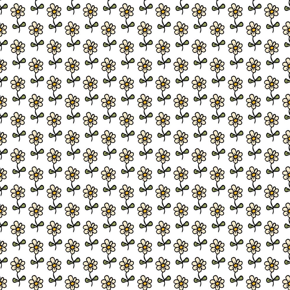 Seamless pattern with flowers. Floral background. Chamomile flowers isolated on white background vector