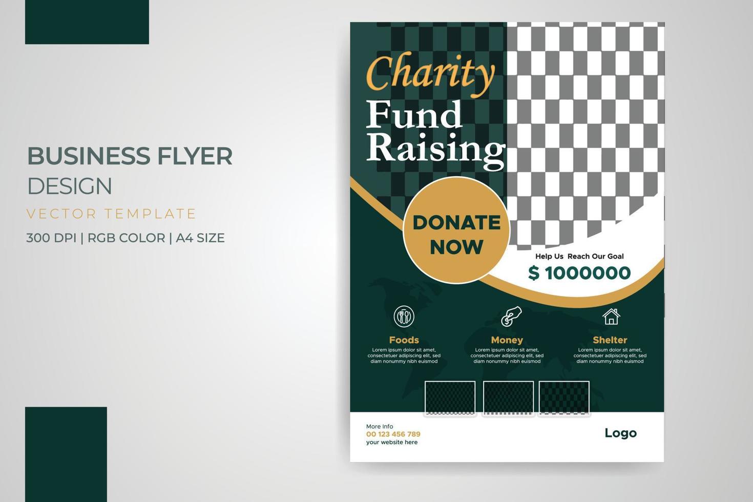 Charity Donation flyer vector template design