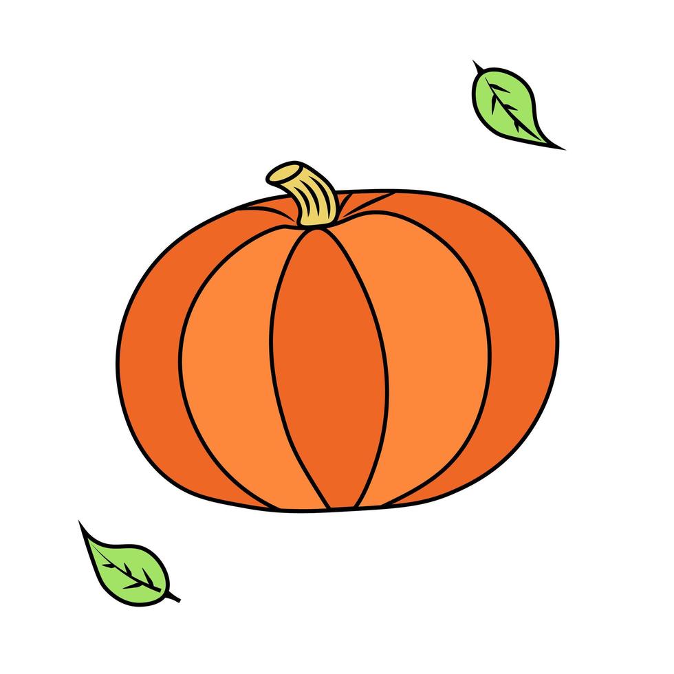 Pumpkin isolated on white background. Illustration for Halloween. Illustration for printing, backgrounds, wallpapers, covers, packaging, greeting cards, posters, stickers, textile. Eps 10. vector