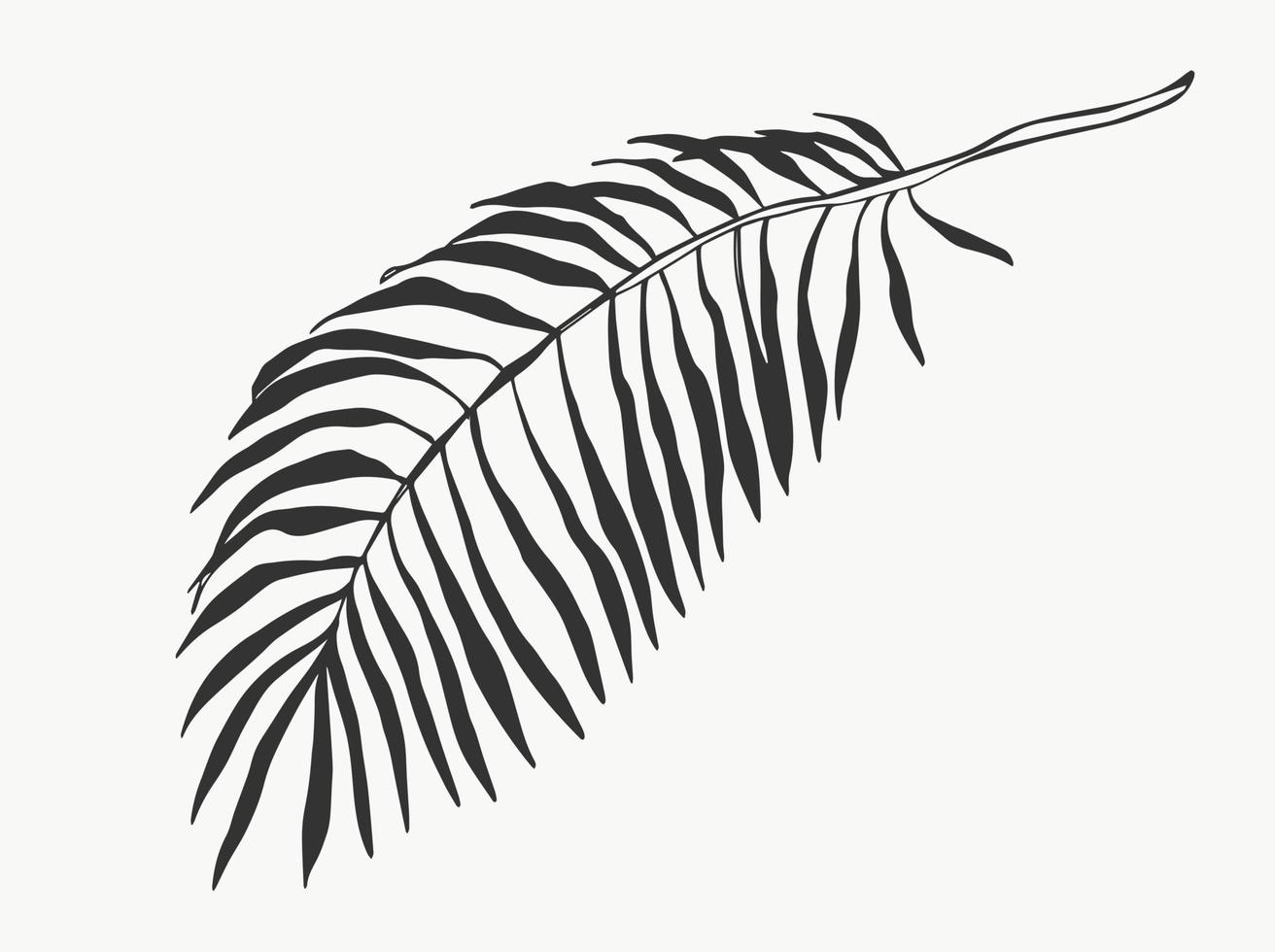 Leaves and tropical palm tree line foliage isolated on white background. vector illustrations design