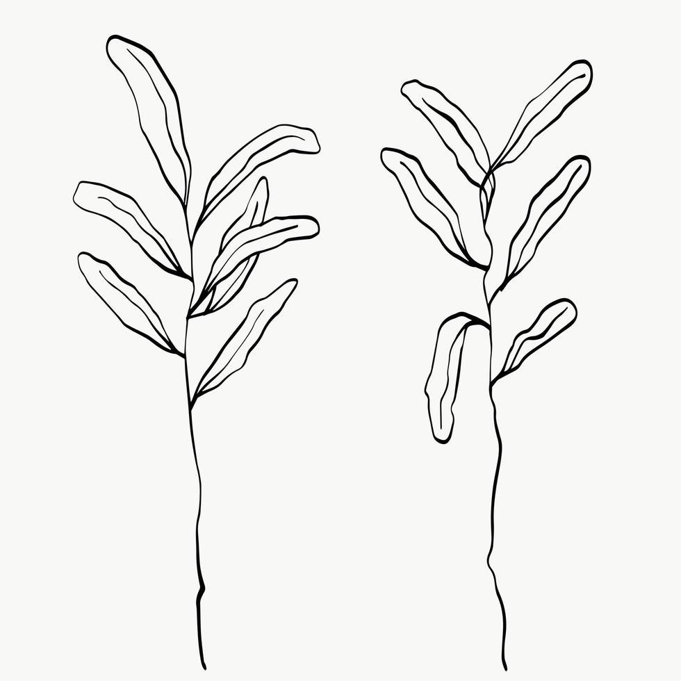 arte de línea de hojas botánicas. Línea abstracta de plantas modernas o mínimas. perfecto para la decoración del hogar como carteles. diseño de ilustraciones vectoriales vector