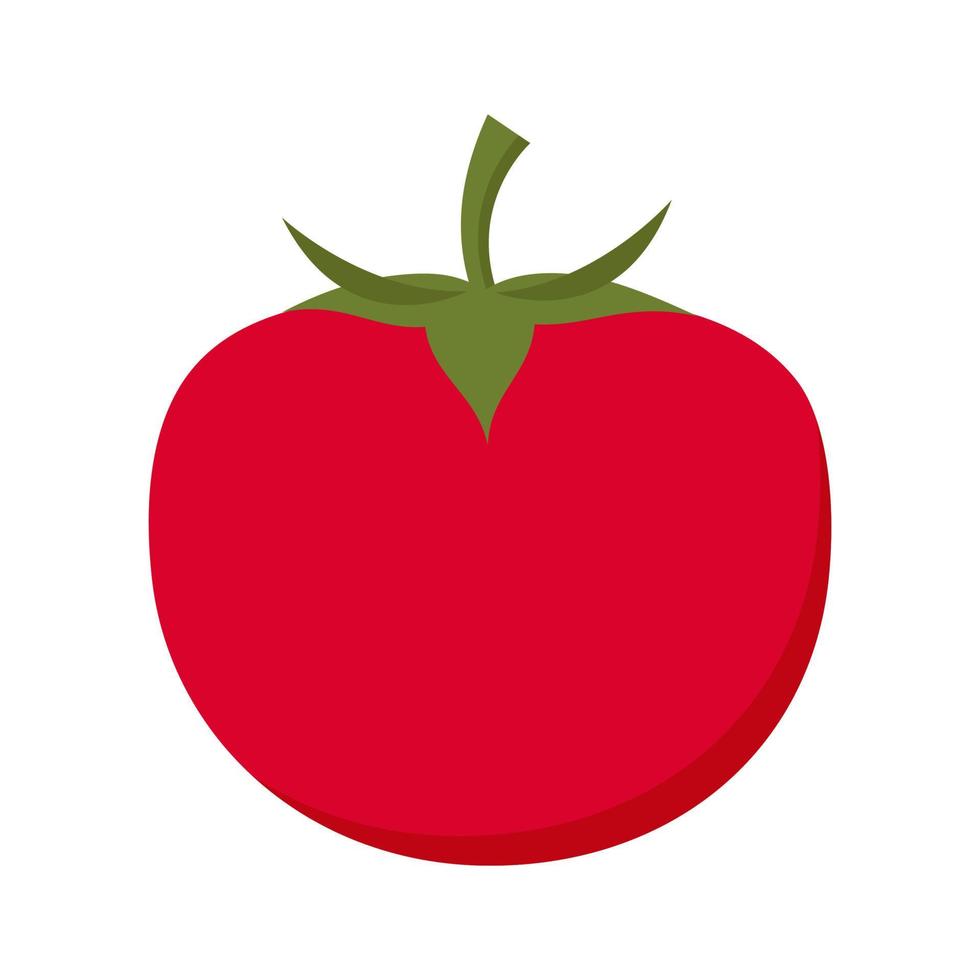 Fresh tomato illustration vector