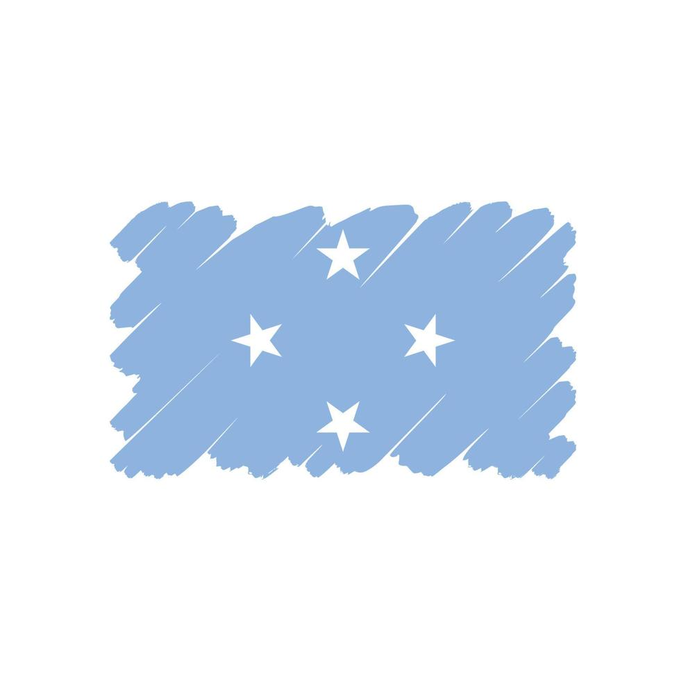 Micronesia flag vector