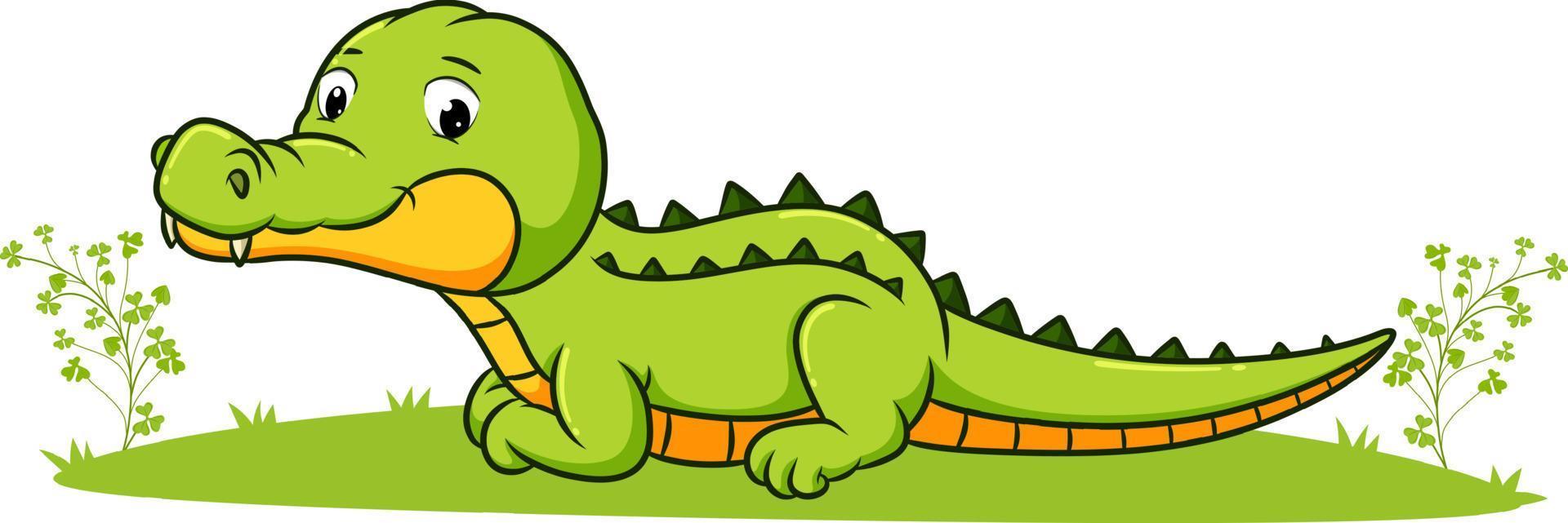 The cute crocodile is laying down in the garden vector